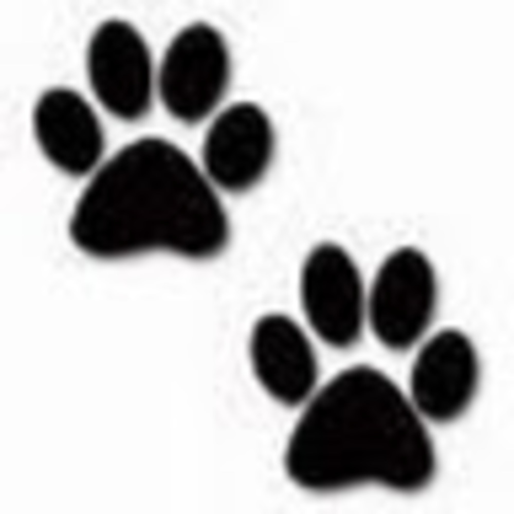 Meet your Posher, Cathy